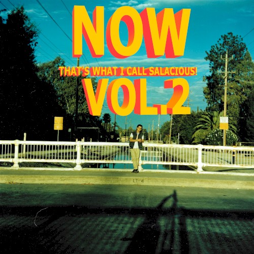 Now That's What I Call Salacious! Vol. 2