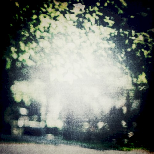 Variations (for summer)