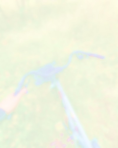 0365