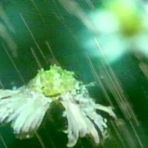 ✰ᦓ꠸ꪀᧁꪶꫀᦓ✰