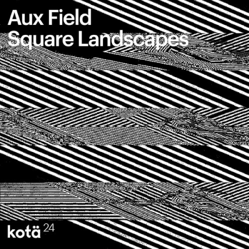 Square Landscapes