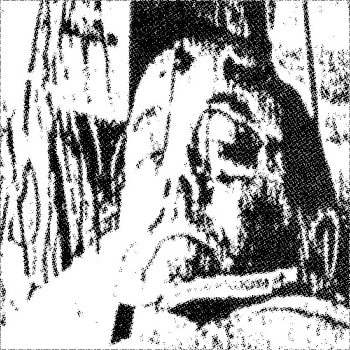 Somnosections