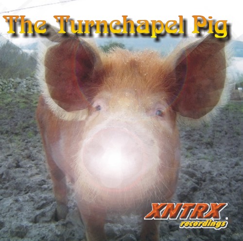 The Turnchapel Pig