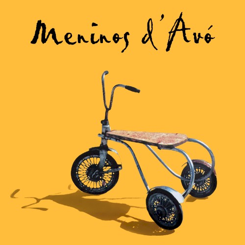 Meninos D´Avó