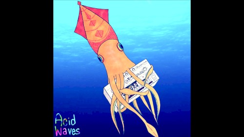 Acid Waves
