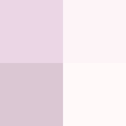 #!/for/pigg
