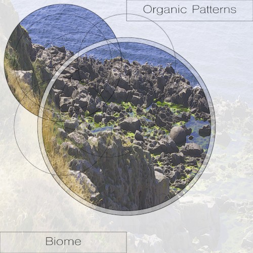 Biome