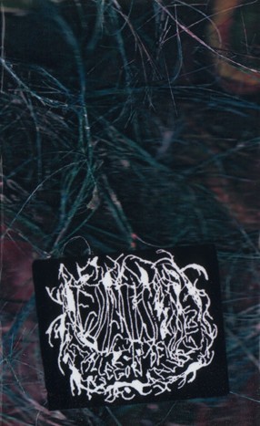 Allegory of Allergies