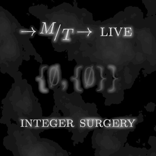 Integer Surgery