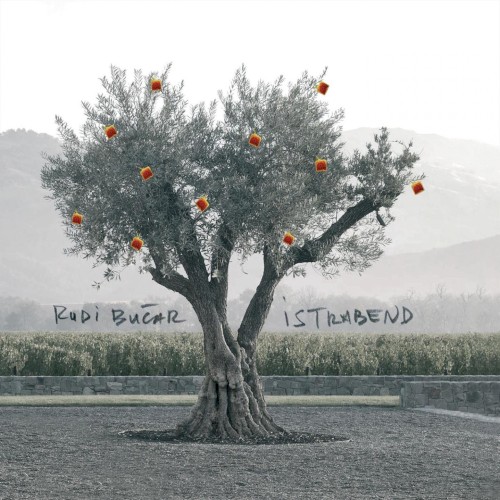 Rudi Bučar & Istrabend