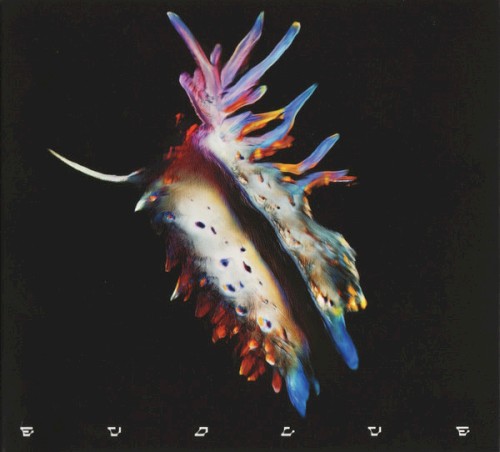 Evolve