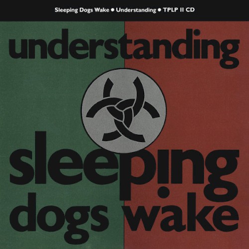 Understanding