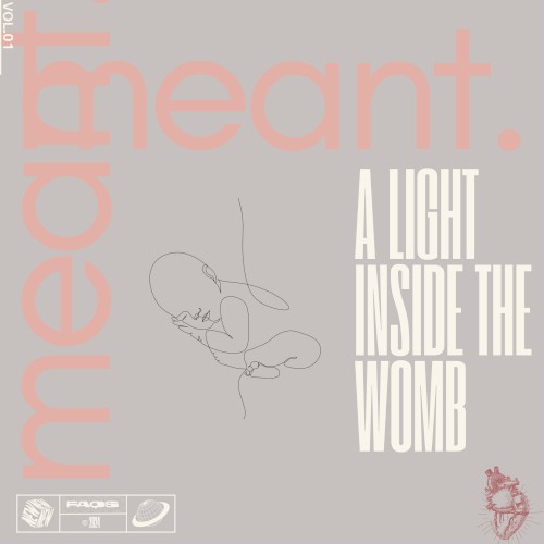 a light inside the womb