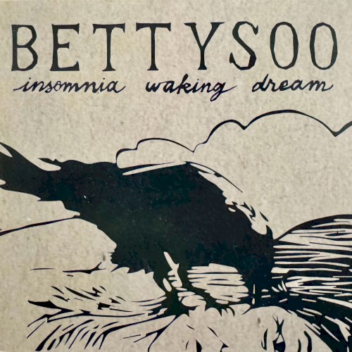 Insomnia Waking Dream
