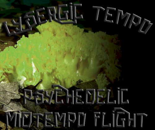Psychedelic MidTempo Flight