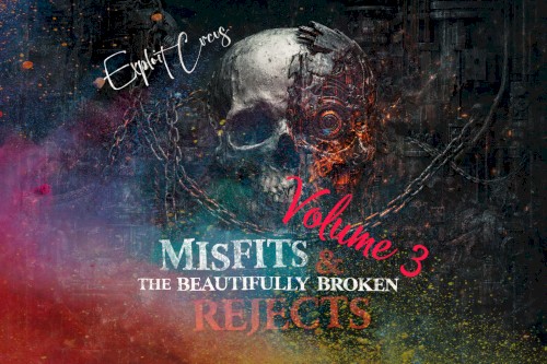 Misfits and the Beautifully Broken Rejects, Vol. 3