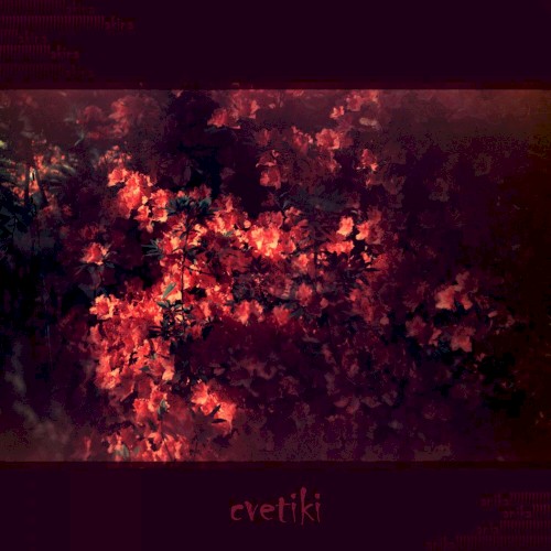 cvetiki