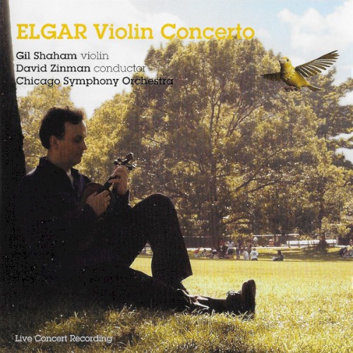 Violin Concerto