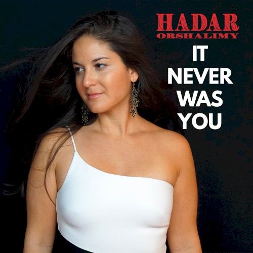 It Never Was You