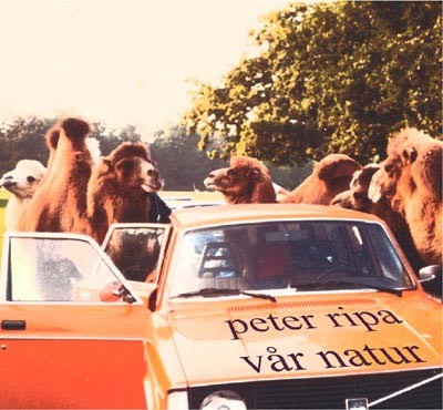 vår natur