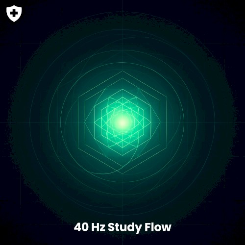 40 Hz Study Flow
