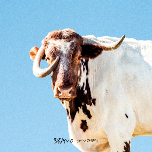 Sexy Zebras &ndash; Bravo