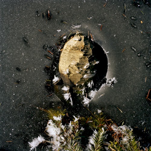 quatre saisons en hiver