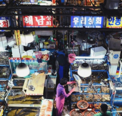 마산어시장