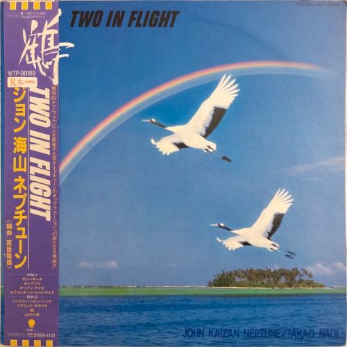 Two in Flight