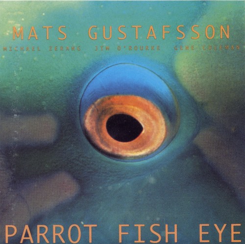 Parrot Fish Eye