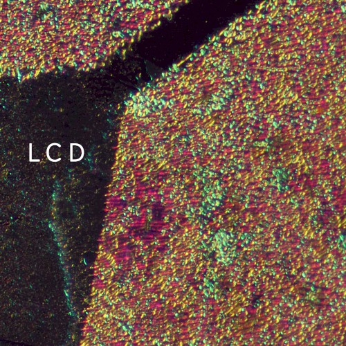 LCD