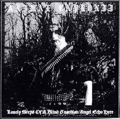 Lonely Steps of a Blind Guardian Angel Echo Here