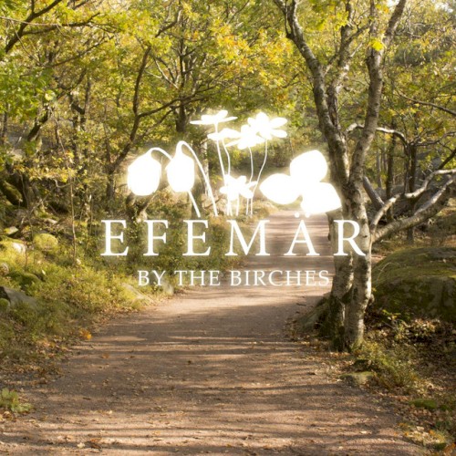 By the Birches