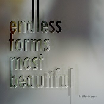 Endless Forms Most Beautiful