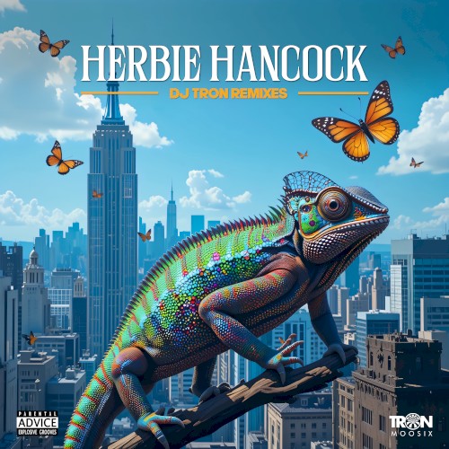Herbie Hancock Remixes