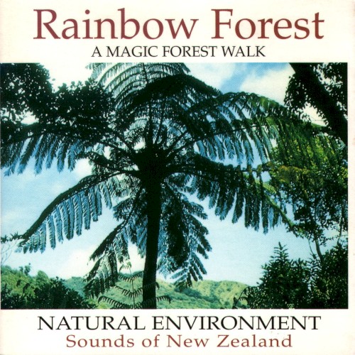 Rainbow Forest: A Magic Forest Walk