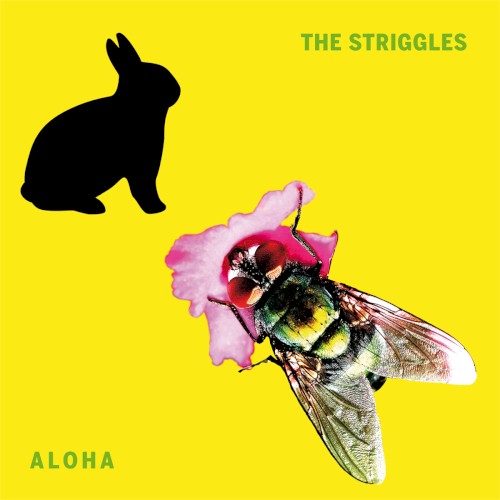 Aloha