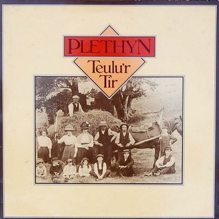 Teulu’r Tir