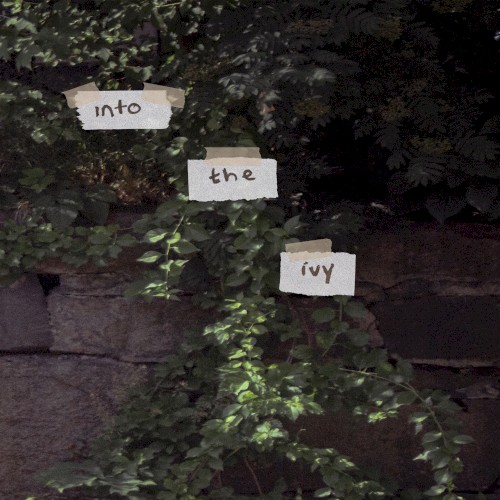 Into The Ivy