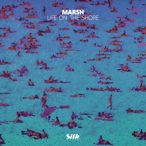 Life on the Shore
