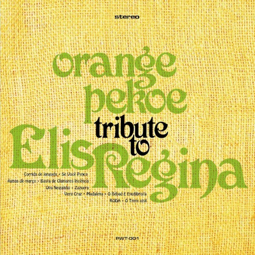 Tribute To Elis Regina