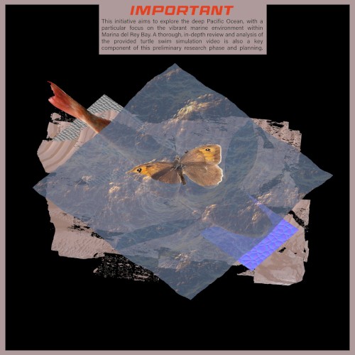 The Songs From The Marine Biology Class Instructional DVD