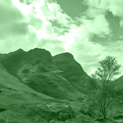 GREEN 4