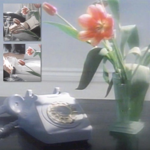 1-900-4YOU