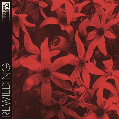 Rewilding