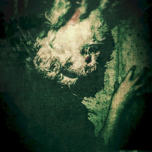 Trichotomy - Part II: Sleepstories
