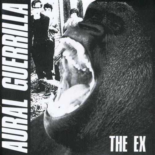 Aural Guerrilla