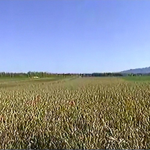 Hills