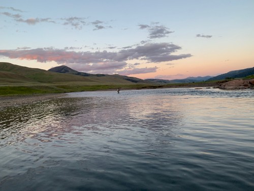 Yellowstone Ambient