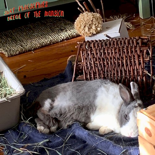 Bread of the Mansion